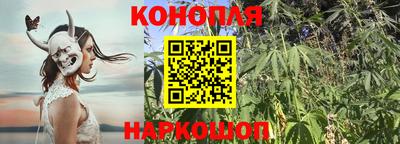 Альфа ПВП Краснокаменск