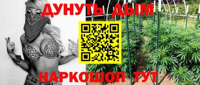 гидропоника Краснодар