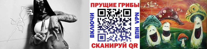 Галлюциногенные грибы мицелий  Тихорецк 