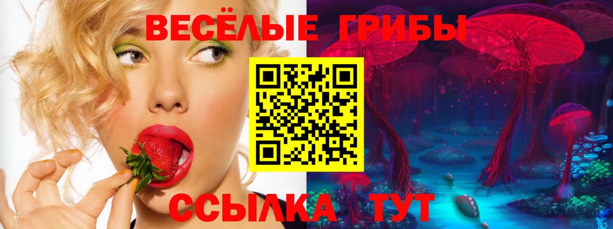 Галлюциногенные грибы Magic Shrooms Тихорецк